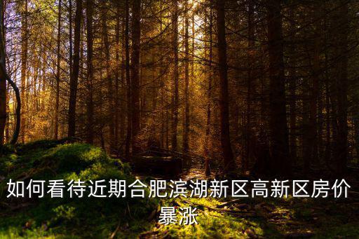 如何看待近期合肥濱湖新區高新區房價暴漲