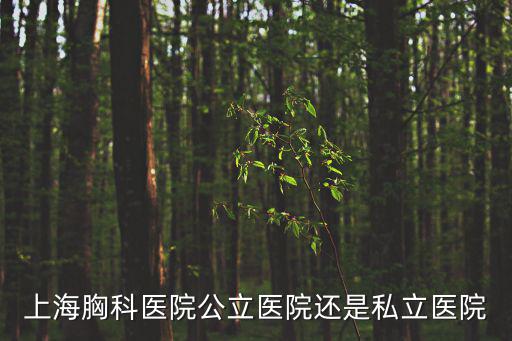 上海胸科醫(yī)院公立醫(yī)院還是私立醫(yī)院