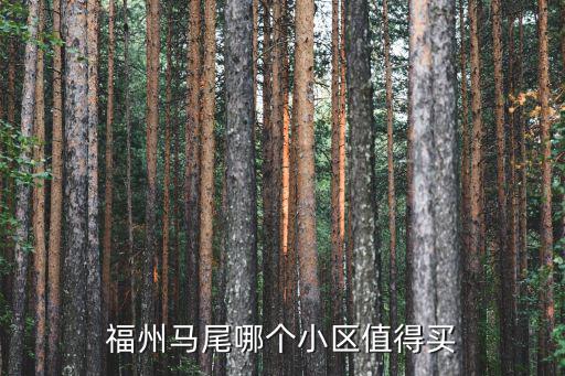 福州馬尾哪個小區值得買