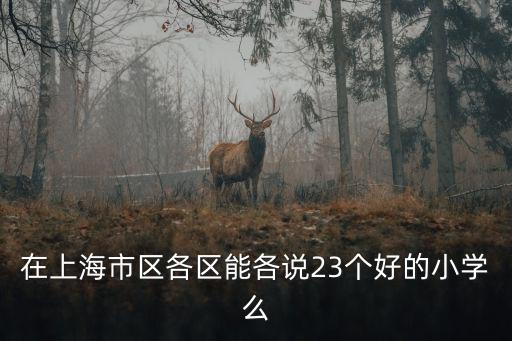 在上海市區各區能各說23個好的小學么
