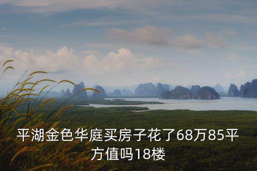 2010年平湖的房價如何，平湖金色華庭買房子花了68萬85平方值嗎18樓