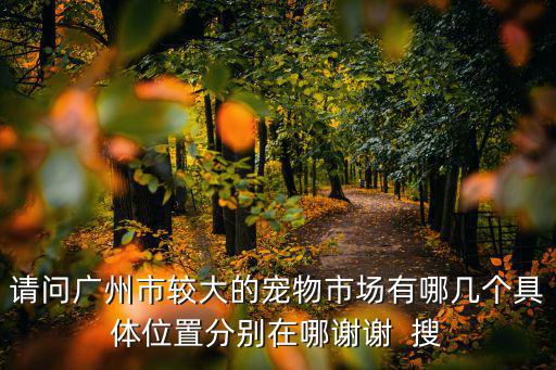 請問廣州市較大的寵物市場有哪幾個具體位置分別在哪謝謝  搜