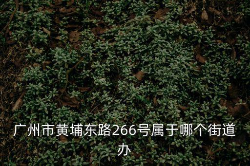 廣州市黃埔東路266號(hào)屬于哪個(gè)街道辦