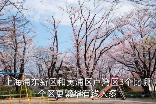 上海浦東新區和黃浦區盧灣區3個比哪個區更繁華有錢人多