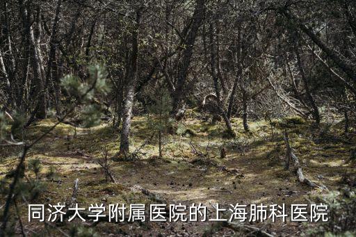 同濟大學附屬醫院的上海肺科醫院