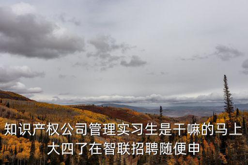 廣州聘知識產權調查員，知識產權的市場調查員主要是做什么