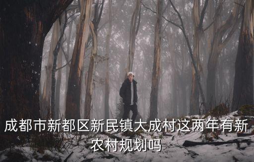 成都市新都區新民鎮大成村這兩年有新農村規劃嗎