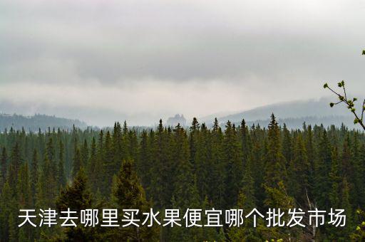 天津市洋洋鮮水果店，天津市南開區(qū)衛(wèi)津路92號是什么地方