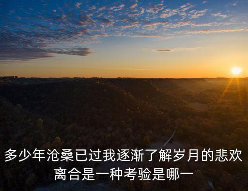 多少年滄桑已過我逐漸了解歲月的悲歡離合是一種考驗是哪一