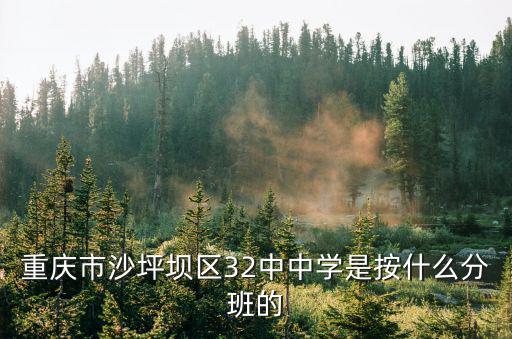 重慶市沙坪壩區32中中學是按什么分班的