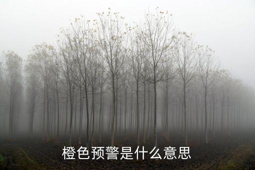 橙色預(yù)警是什么意思