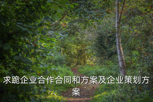 合作方案模板，合作方案怎么寫急