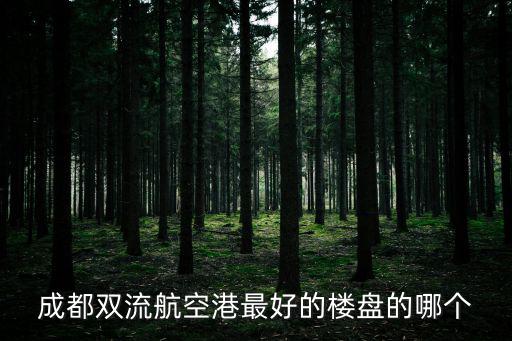 成都雙流航空港最好的樓盤的哪個