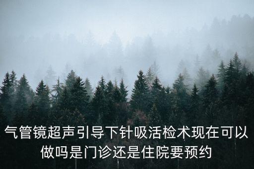氣管鏡超聲引導(dǎo)下針吸活檢術(shù)現(xiàn)在可以做嗎是門診還是住院要預(yù)約