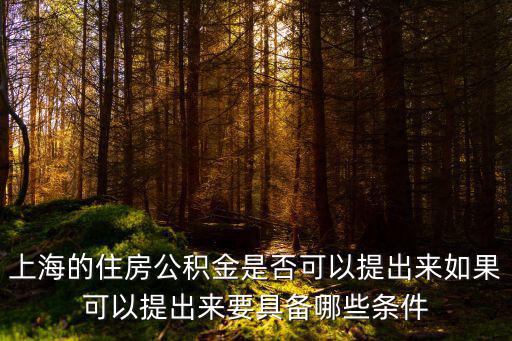 上海的住房公積金是否可以提出來如果可以提出來要具備哪些條件