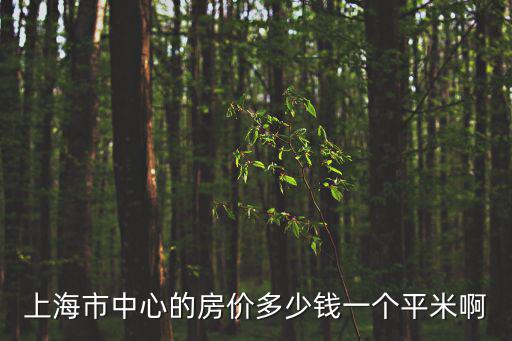上海市中心的房價多少錢一個平米啊