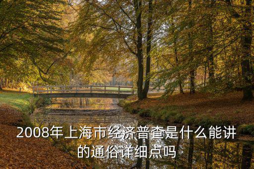 2008年上海市經濟普查是什么能講的通俗詳細點嗎