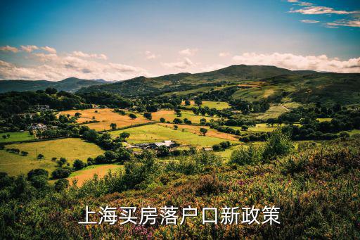 上海落戶2022年新政策官網(wǎng)，上海買房落戶口新政策