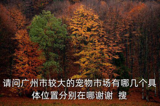 請(qǐng)問(wèn)廣州市較大的寵物市場(chǎng)有哪幾個(gè)具體位置分別在哪謝謝  搜