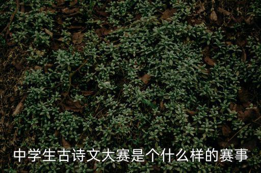 中學(xué)生古詩文大賽是個(gè)什么樣的賽事