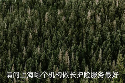 請問上海哪個機構做長護險服務最好