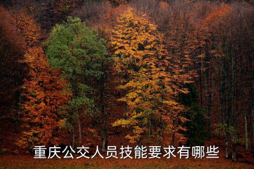 重慶市技能人員培養文件，重慶公交人員技能要求有哪些