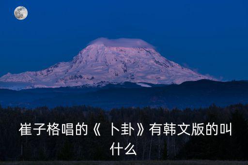 卜卦崔子格,中國網民從崔子格2012網絡歌曲中發明卜卦歌曲