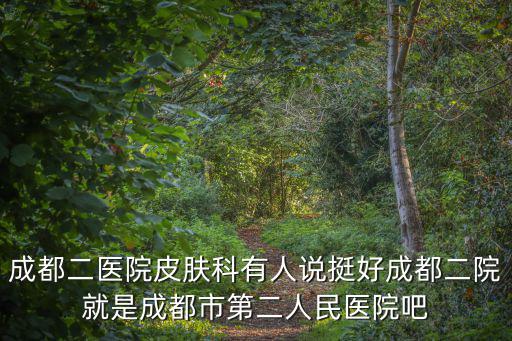 成都二醫院皮膚科有人說挺好成都二院就是成都市第二人民醫院吧
