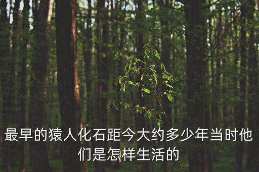 最早的猿人化石距今大約多少年當時他們是怎樣生活的