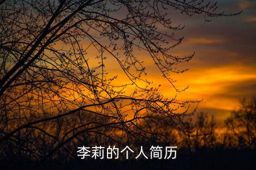 李莉的個人簡歷