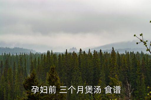  孕婦前 三個月煲湯 食譜