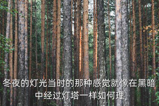 冬夜的燈光當時的那種感覺就像在黑暗中經過燈塔一樣如何理