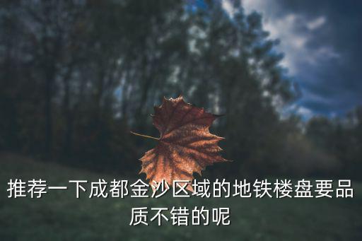 推薦一下成都金沙區域的地鐵樓盤要品質不錯的呢