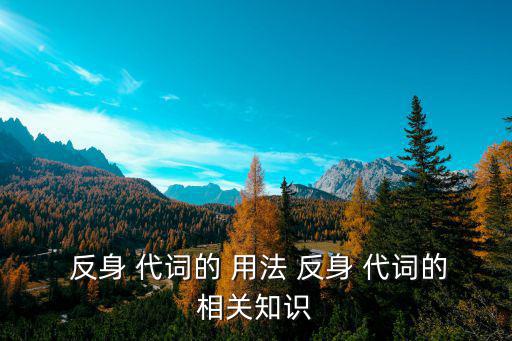  反身 代詞的 用法 反身 代詞的相關知識