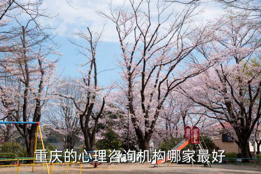 重慶的心理咨詢機(jī)構(gòu)哪家最好