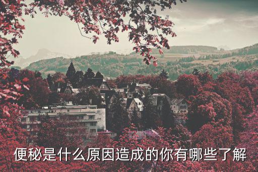便秘原因,長時間蹲廁所怎么辦?