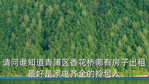 請問誰知道青浦區香花橋哪有房子出租最好是家電齊全的拎包入