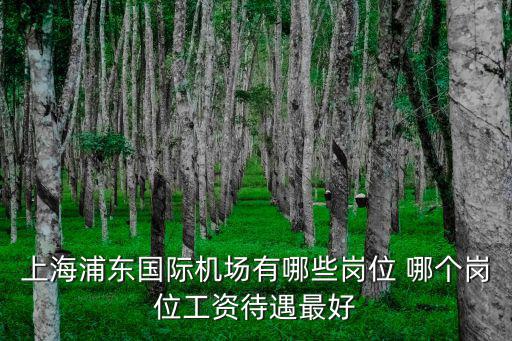上海浦東國際機場有哪些崗位 哪個崗位工資待遇最好