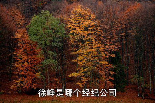 上海市虹橋中學72屆同學會，尋找找上海金沙中學72屆十一班同學