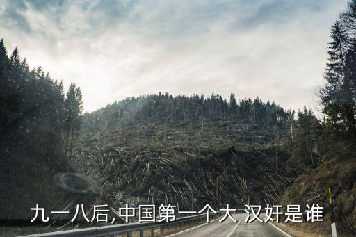 中國(guó)最大的漢奸,沒(méi)有最大漢奸只有更差的偽造文件