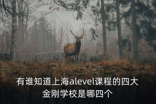 上海協和alevel課程，上海哪里有alevel數學或物理補習班