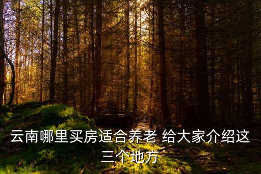 云南哪里買房適合養(yǎng)老 給大家介紹這三個地方