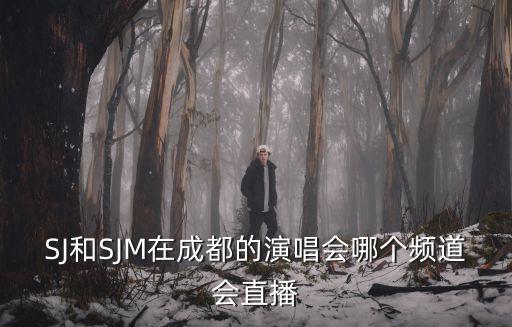 SJ和SJM在成都的演唱會哪個頻道會直播