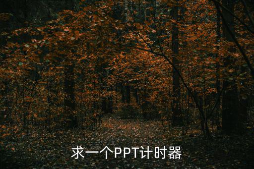 求一個PPT計時器