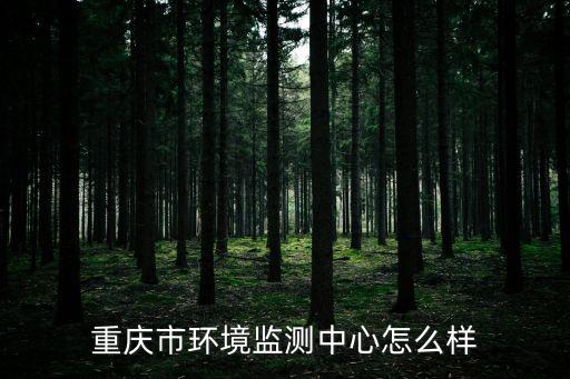 重慶市環(huán)境監(jiān)測(cè)中心怎么樣