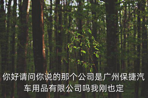 你好請(qǐng)問你說的那個(gè)公司是廣州保捷汽車用品有限公司嗎我剛也定