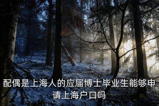上海博士畢業(yè)落戶，博士上海落戶