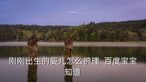 剛剛出生的嬰兒怎么護理  百度寶寶知道