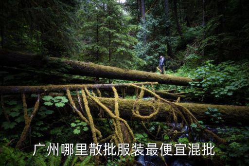 廣州哪里散批服裝最便宜混批