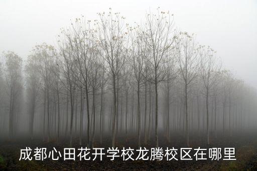 成都心田花開學校龍騰校區在哪里
